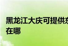 黑龍江大慶可提供東芝中央空調(diào)維修服務(wù)地址在哪