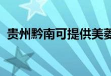 貴州黔南可提供美菱冰箱維修服務(wù)地址在哪