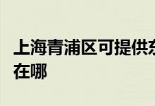 上海青浦區(qū)可提供東芝中央空調(diào)維修服務(wù)地址在哪