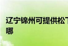 遼寧錦州可提供松下中央空調(diào)維修服務(wù)地址在哪