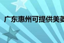 廣東惠州可提供美菱冰箱維修服務(wù)地址在哪