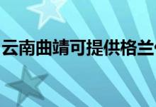 云南曲靖可提供格蘭仕冰箱維修服務(wù)地址在哪