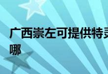 廣西崇左可提供特靈中央空調(diào)維修服務(wù)地址在哪