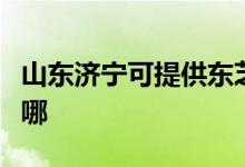 山東濟(jì)寧可提供東芝中央空調(diào)維修服務(wù)地址在哪