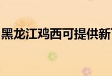 黑龍江雞西可提供新飛冰箱維修服務(wù)地址在哪