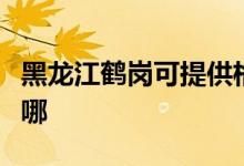 黑龍江鶴崗可提供格蘭仕冰箱維修服務(wù)地址在哪