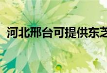 河北邢臺(tái)可提供東芝冰箱維修服務(wù)地址在哪