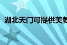 湖北天門可提供美菱冰箱維修服務(wù)地址在哪