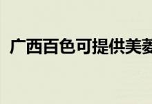 廣西百色可提供美菱冰箱維修服務(wù)地址在哪