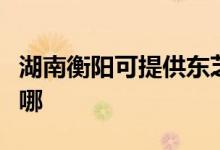湖南衡陽可提供東芝中央空調(diào)維修服務(wù)地址在哪