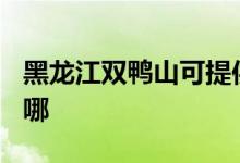 黑龍江雙鴨山可提供TCL冰箱維修服務(wù)地址在哪