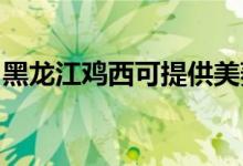 黑龍江雞西可提供美菱冰箱維修服務(wù)地址在哪