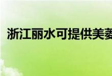浙江麗水可提供美菱冰箱維修服務(wù)地址在哪