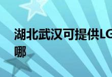 湖北武漢可提供LG中央空調(diào)維修服務(wù)地址在哪