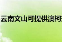 云南文山可提供澳柯瑪冰箱維修服務(wù)地址在哪