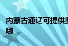 內(nèi)蒙古通遼可提供奧克斯冰箱維修服務(wù)地址在哪