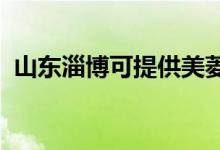 山東淄博可提供美菱冰箱維修服務(wù)地址在哪