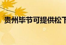 貴州畢節(jié)可提供松下冰箱維修服務(wù)地址在哪