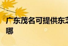 廣東茂名可提供東芝中央空調(diào)維修服務(wù)地址在哪