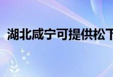 湖北咸寧可提供松下冰箱維修服務(wù)地址在哪
