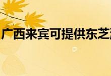 廣西來賓可提供東芝洗衣機(jī)維修服務(wù)地址在哪