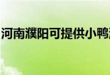 河南濮陽可提供小鴨洗衣機維修服務地址在哪