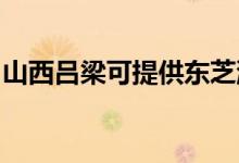 山西呂梁可提供東芝洗衣機(jī)維修服務(wù)地址在哪
