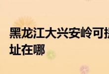 黑龍江大興安嶺可提供海爾洗衣機(jī)維修服務(wù)地址在哪