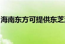 海南東方可提供東芝洗衣機(jī)維修服務(wù)地址在哪