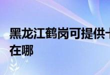 黑龍江鶴崗可提供卡薩帝洗衣機(jī)維修服務(wù)地址在哪
