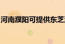 河南濮陽可提供東芝洗衣機(jī)維修服務(wù)地址在哪