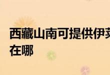 西藏山南可提供伊萊克斯洗衣機(jī)維修服務(wù)地址在哪