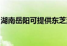 湖南岳陽可提供東芝洗衣機(jī)維修服務(wù)地址在哪