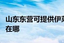 山東東營(yíng)可提供伊萊克斯洗衣機(jī)維修服務(wù)地址在哪