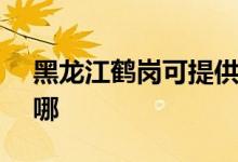 黑龍江鶴崗可提供SKG冰箱維修服務(wù)地址在哪