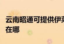 云南昭通可提供伊萊克斯洗衣機(jī)維修服務(wù)地址在哪