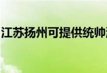江蘇揚州可提供統(tǒng)帥洗衣機維修服務(wù)地址在哪