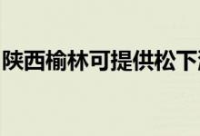 陜西榆林可提供松下洗衣機(jī)維修服務(wù)地址在哪