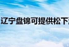遼寧盤錦可提供松下洗衣機(jī)維修服務(wù)地址在哪