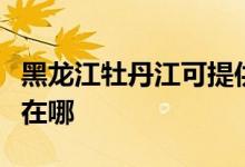 黑龍江牡丹江可提供東芝洗衣機(jī)維修服務(wù)地址在哪