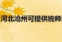 河北滄州可提供統(tǒng)帥洗衣機維修服務(wù)地址在哪