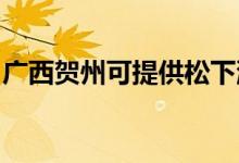 廣西賀州可提供松下洗衣機維修服務地址在哪