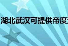 湖北武漢可提供帝度洗衣機維修服務地址在哪