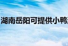 湖南岳陽可提供小鴨洗衣機維修服務地址在哪