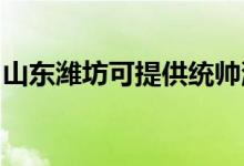 山東濰坊可提供統(tǒng)帥洗衣機維修服務(wù)地址在哪