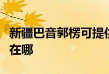 新疆巴音郭楞可提供威力洗衣機(jī)維修服務(wù)地址在哪