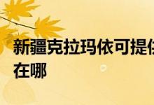 新疆克拉瑪依可提供康佳洗衣機維修服務(wù)地址在哪