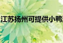 江蘇揚州可提供小鴨洗衣機維修服務地址在哪