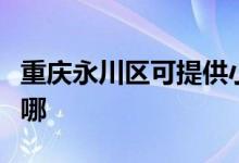 重慶永川區(qū)可提供小鴨洗衣機維修服務地址在哪