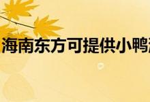 海南東方可提供小鴨洗衣機維修服務地址在哪